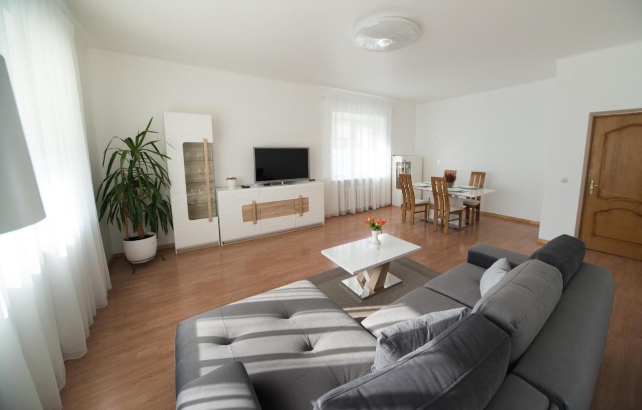 Petro Delux Apartments Center Kaunas Buitenkant foto